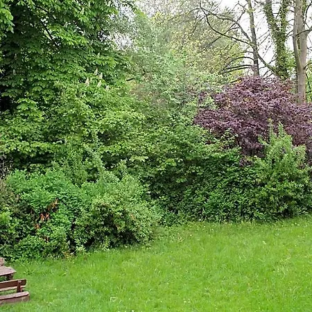 Am Friedrichspark באד פירמונט